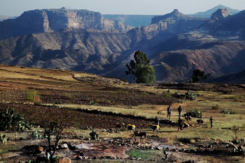 Wide fields with mountains in the background in the Debre Damo region, Debre Damo, Tigray, Ethiopia