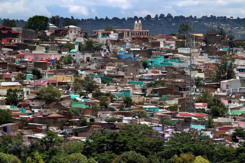 Panoramic view of the dense buildings of the old town of Harar, Harar, Harari, Ethiopia