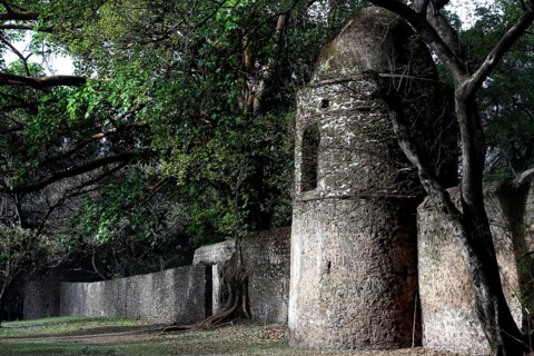 Stone tower with surrounding wall and trees at Fasilidas Bath in Gondar, Gondar, null