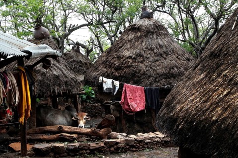 Huts with thatched roofs and suspended clothing in a lively Konso village, Konso, region, Ethiopia