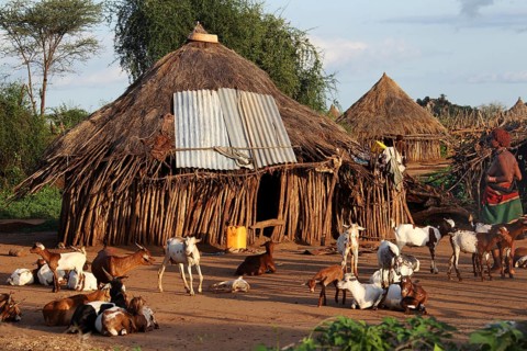 Round huts and goats in a Hamer village, Turmi, Ethiopia