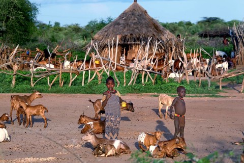 Children playing with goats in front of a traditional hut in Hamer village, Turmi, Ethiopia