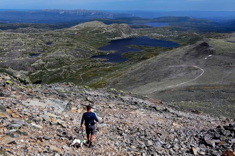 Extensive views from Gaustatoppen peaks, trails and valleys in natural surroundings, zero