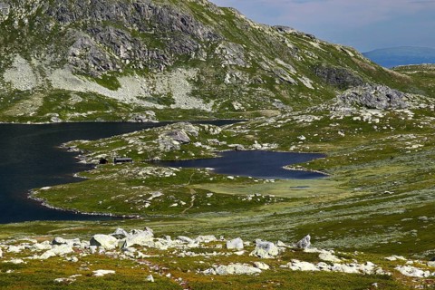 Idyllic landscape with lakes and green expanses in Hardangervidda, Hardangervidda, Gausdal, Norway