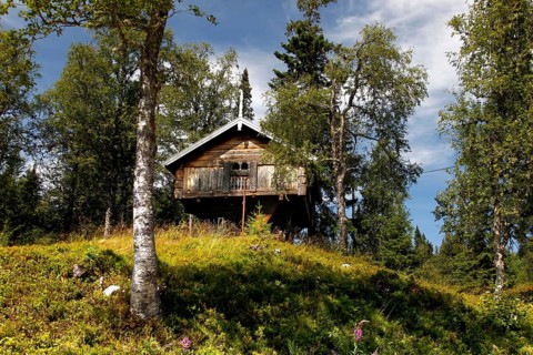 Typical wooden house in Telemark, surrounded by lush nature in Hardangervidda, Telemark, Norway