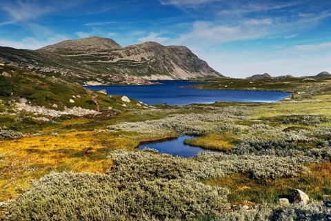 Mountainous landscape of Hardangervidda with blue lake under open sky, Hardangervidda, Innlandet,