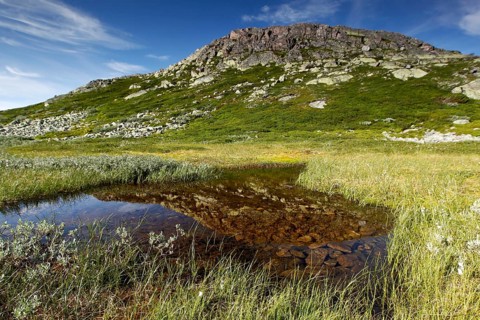 Pristine high moor landscape with a grassy mountain, Hardangervidda, null, Norway
