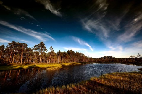 Viru moor in Lahemaa National Park with vast expanses of water and bright skies, Lahemaa National