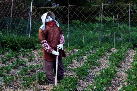 Fabric figure in a garden depicting rural work