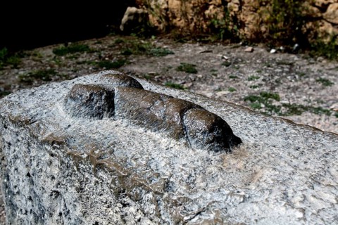 Stone relief in the form of a phallic symbol in the ruins of Volubilis, Volubilis, Fès-Meknès,