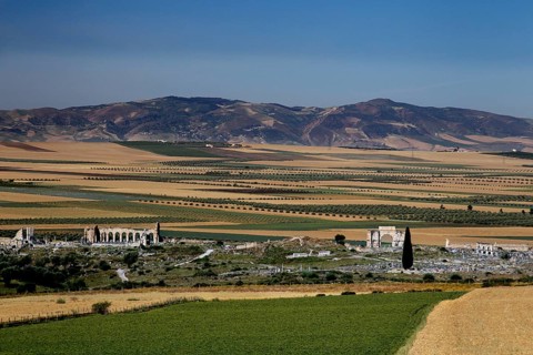 Ruins of Volubilis lie under a clear sky, surrounded by fields and hills. The view stretches across