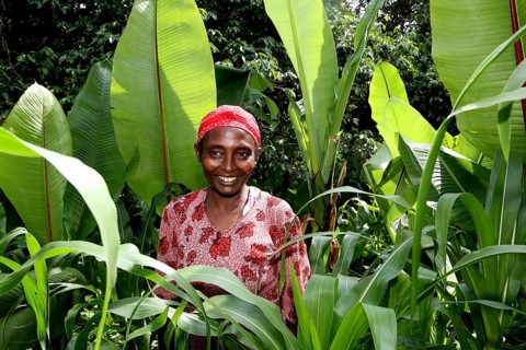 Woman standing amidst thick vegetation surrounded by Ensete plants, traditional red headdress,