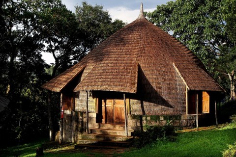Traditional thatched hut surrounded by thick vegetation, Yirga Alem, Ethiopia