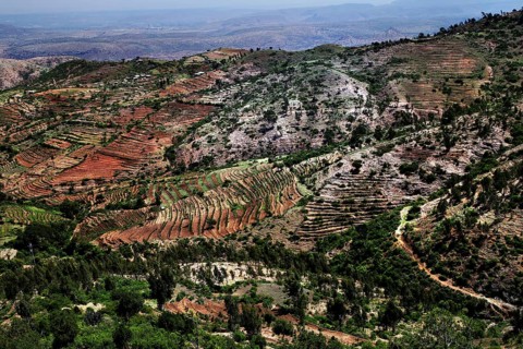 Wide landscape between Awash and Harar with terraced hills and vegetation, Awash, Afar, Ethiopia