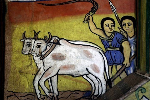 Wall painting depicting oxen and people in traditional clothing, Lake Tana, Ura Kidhane Mihret,