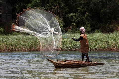 Fisherman on a papyrus boat throws out a large net in Lake Tana, zero