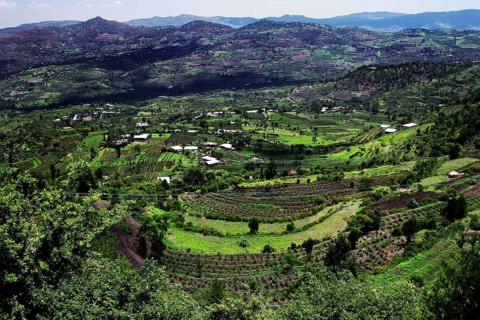 Green, hilly landscape between Awash and Harar with lush vegetation, Awash, Afar, Ethiopia