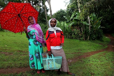 Two woman in colorful clothes stand with umbrellas on a path in a green landscape, Yirga Alem,