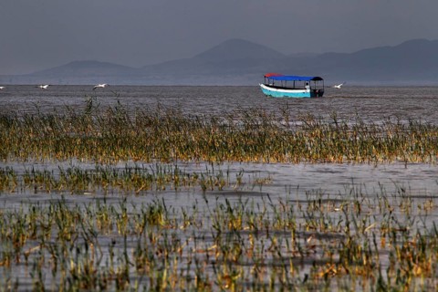 Boat floating in Ziway Lake surrounded by dense grasses, Ziway, Oromia, Ethiopia