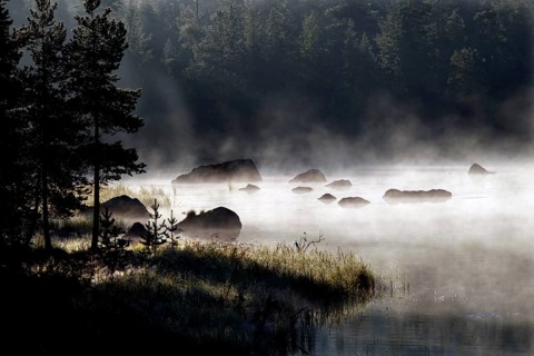 Misty lake landscape in Lapland with trees on the shore, Lapland, Finland