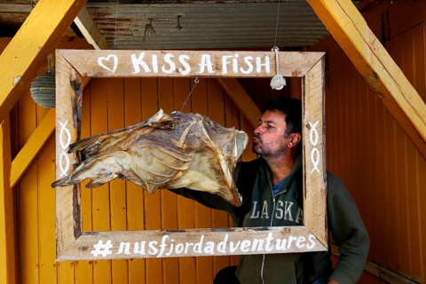 Man posing with stockfish in wooden frame in Nusfjord, Nusfjord, Flakstadøy, Norway