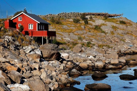 A red hut on rocks with a view of the wild Sakrisøys coastal landscape, Sakrisøy, Moskenesøy,