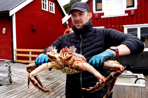 Man holding huge king crab standing outside near red buildings, Sarnes, Norway