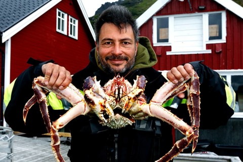 Man keeps a king crab in front of red wooden houses in N Sarnes, N Sarnes, zero