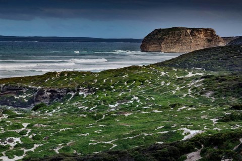 Rugged coastline with green hills and ocean cliffs on Kangaroo Island, Seal Bay, Kangaroo Island,