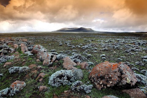 Wide plateau with cloudy sky and rugged landscape, Bale Mountains, Oromia, Ethiopia