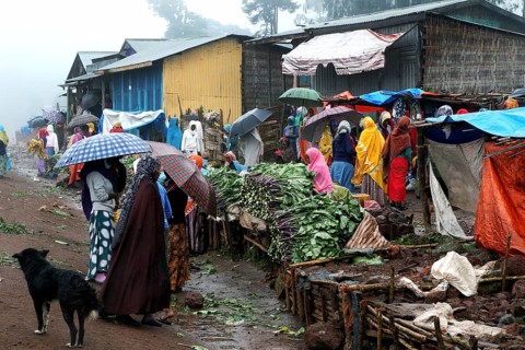 Lively marketplace in Rira with colorful umbrellas and rainy atmosphere, Rira, Bale Mountains,