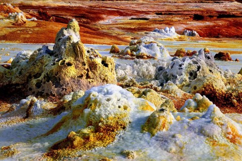 Bizarre limestone formations in the hot geothermal area of Dallol, Dallol, Afar region, Ethiopia
