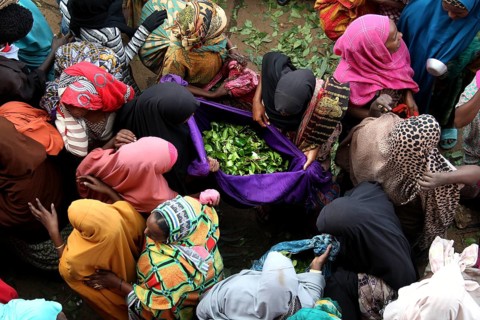Women in a busy market gather around Khat stands, Awaday, Ethiopia