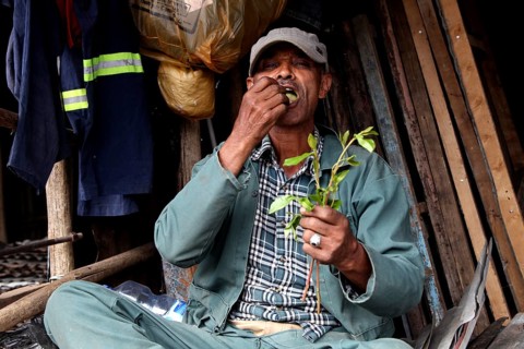 A man sits and chews on plants on the Mercato in Addis Ababa, Addis Ababa, Ethiopia