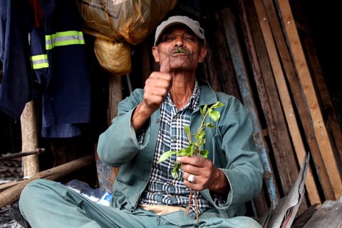 Market scene in Mercato, Addis Ababa. A man points thumbs up while offering plants, Addis Ababa,