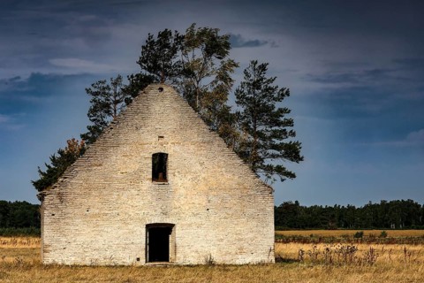 Abandoned farmhouse in Vihula surrounded by nature and trees, Vihula, Estonia