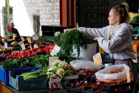 Saleswoman arranges fresh vegetables at a busy market in Tallinn, Tallinn, Harju, Estonia