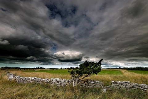 Wide landscape in Vilsandi National Park with dramatic sky and stone wall, Vilsandi National Park,