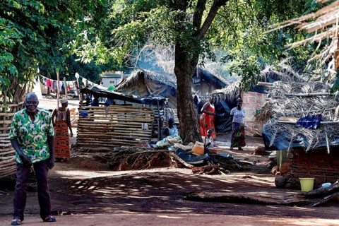 Scene in a village with traditional huts under shady trees and people active in the background,
