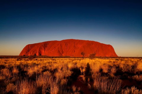 Uluru in warm colors just in front of sunset in the Australian Outback, Uluru, Northern Territory,