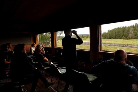 People watch nature from a bear watching lodge, Karhu, Kuusamo, Finland