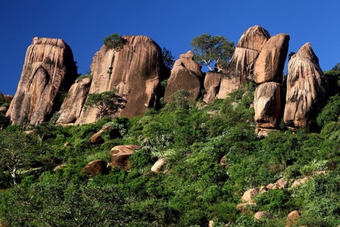Formation of raised rocks and green vegetation in the Valley of Wonders, Babile, Oromia, Ethiopia