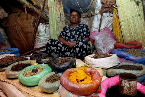 Woman offers a variety of spices in colorful bags at the market, Bahirdar, Ethiopia