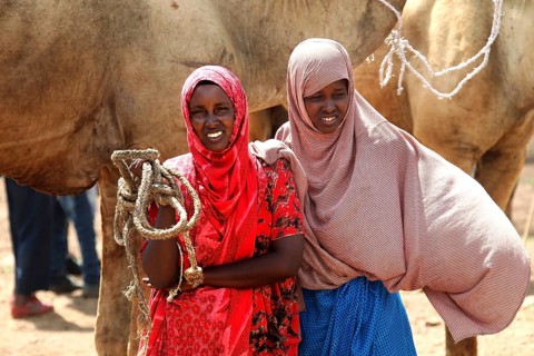 Two woman with friendly smiles at the camel market in Babile, with camel in the background, Babile,