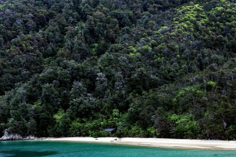 Forest and beach along the Abel Tasman Coast with refreshing water, zero