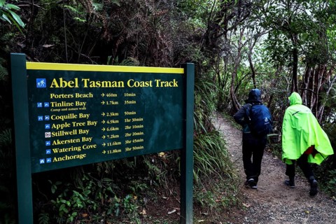 Hikers pass an Abel Tasman Coast Track sign in the thick forest, zero