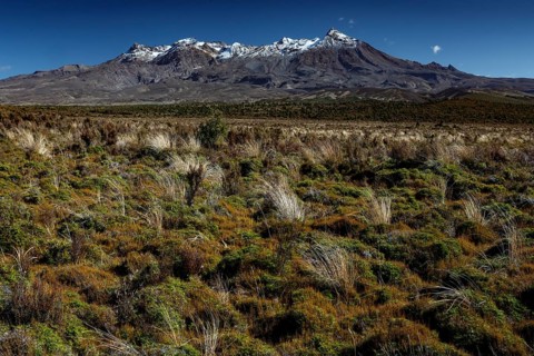 View of snow-capped Mount Ruapehu along Desert Highway, Mount Ruapehu, New Zealand