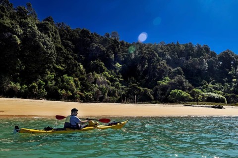 Single person kayaking in front of densely wooded beach, Stillwell Bay, Abel Tasman National Park,
