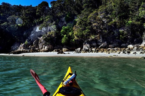 Yellow kayak on calm sea off wooded coast, Adele Island, Abel Tasman National Park, New Zealand