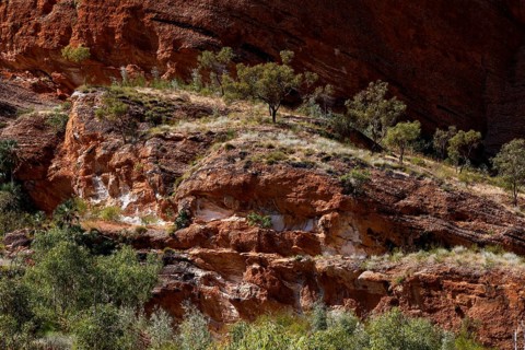 Red rock wall with sparse vegetation in Echidna Chasm Trail, Bungle Bungle, Purnululu National